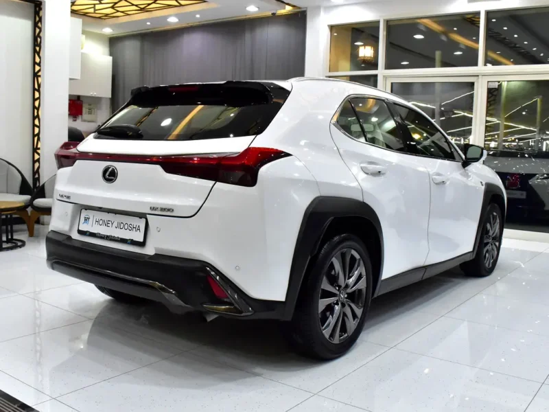 2020 Lexus UX-Series UX 200 F Sport 2.0-liter 4-cylinder Petrol Engine White Red Crossover GCC Specs