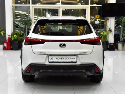 2020 Lexus UX-Series UX 200 F Sport 2.0-liter 4-cylinder Petrol Engine White Red Crossover GCC Specs