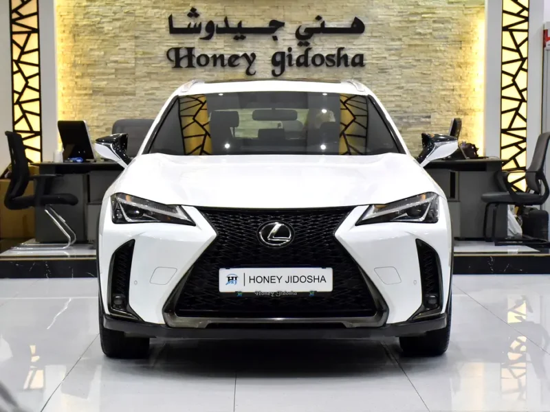 2020 Lexus UX-Series UX 200 F Sport 2.0-liter 4-cylinder Petrol Engine White Red Crossover GCC Specs