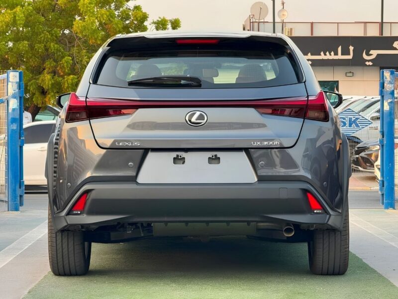 2025 Lexus UX300h PRIME 2.0 Litres HYBRID 4 Cylinders Hybrid Engine Grey Tan SUV GCC Specs