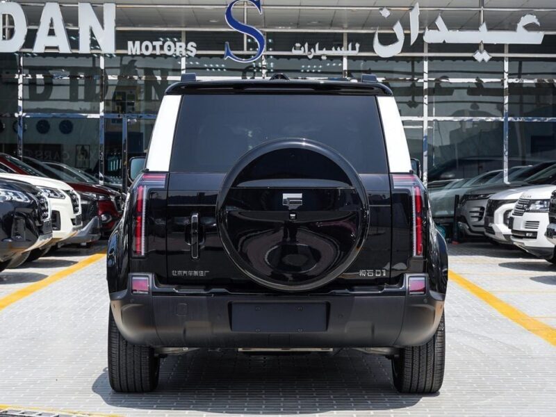2026 ROX 01 VIP Fully Electric Vehicle Black White SUV Automatic Chinese Specifications