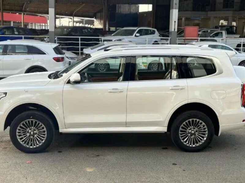 2027 TANK 500 3.0 Litres Twin-Turbo 6 Cylinders Petrol Engine White Beige SUV GCC Specs