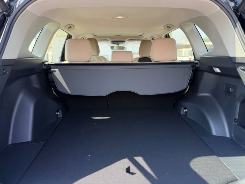 2026 Toyota RAV 4 XLE 2.0 Litres 4 Cylinders Petrol Engine Black Beige SUV Japanese Specs AWD