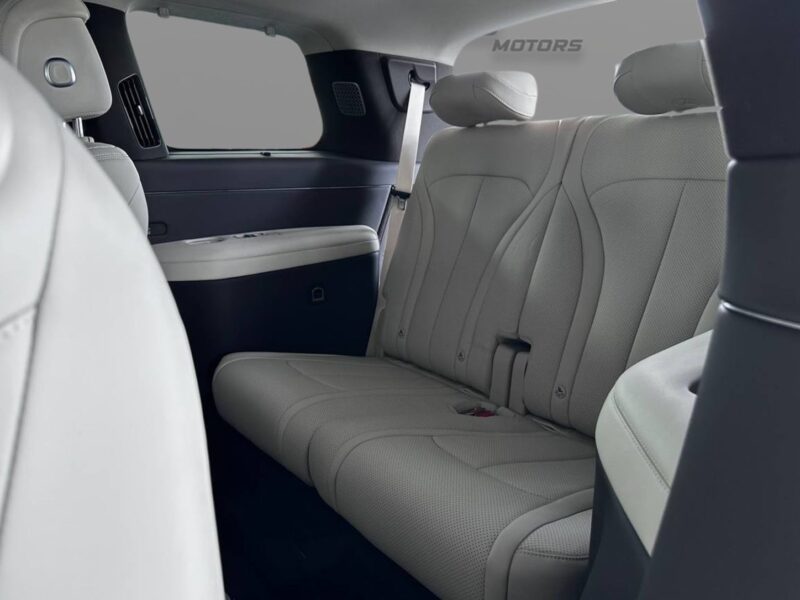 2025 DENZA N9 FLAGSHIP 2.0 Litres 4 Cylinders Hybrid Engine Silver Beige SUV Chinese Specs