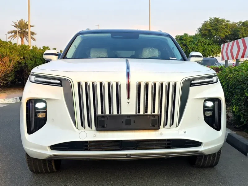 2025 Hongqi E-HS9 EV White-White Luxury Electric SUV European Specs Automatic 550 - 650 KM