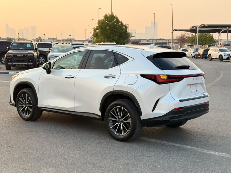 2025 LEXUS NX350 PREMIUM 2.4 Litres V4 Petrol Engine White Mustard SUV American Specs