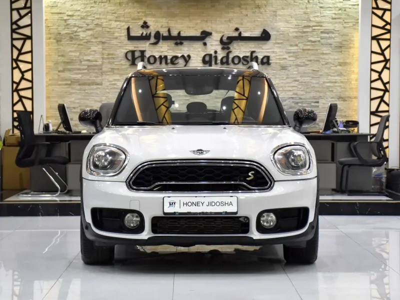 2018 MINI Countryman Cooper S 2.0L Turbocharged 4-Cylinder Engine White Brown Hatchback